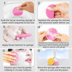 120-Count Compressed Facial Sponges|Kickleen 100% Natural Cellulose Cosmetic - Image 6