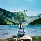 COCORRÍNA Reed Diffuser - Image 3