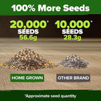 HOME GROWN Premium Monarch Butterfly Wildflower Seeds Mix - Image 6