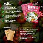 KVITER 50 White Patty Pan Squash Seeds – Scallops Bush Summer Squash Seed - Image 5