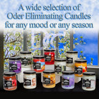 Bamboo Two Pack Odor Eliminating Highly Fragranced Candles - Image 7