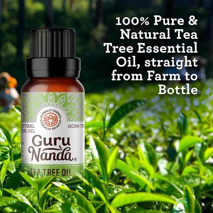 GuruNanda Tea Tree Essential Oil, 100% Pure, Natural and Undiluted Diffuser Oil - Image 2