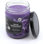 Lilac Blossom Odor Eliminating Highly Fragranced Candle - Image 2