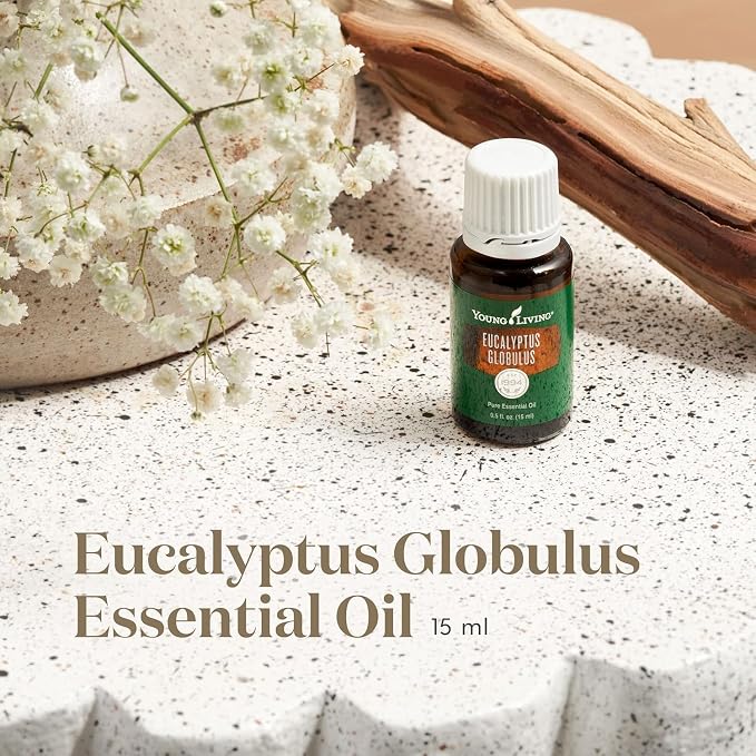 Young Living Eucalyptus Globulus Essential Oil | Cooling, Refreshing Aroma - Image 2