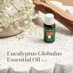 Young Living Eucalyptus Globulus Essential Oil | Cooling, Refreshing Aroma - Image 2