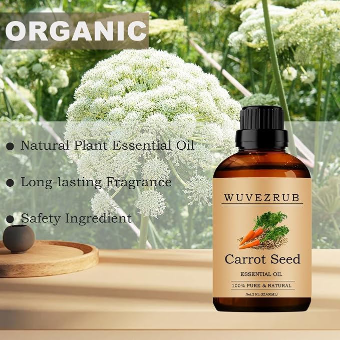 Carrot Seed Essential Oil, 60ML 100% Pure and Natural, 2 Fl Oz, - Image 4