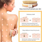 2 Pcs Dry Brushing Body Brush, Natural Bristle Exfoliating Body Scrubbers - Image 3