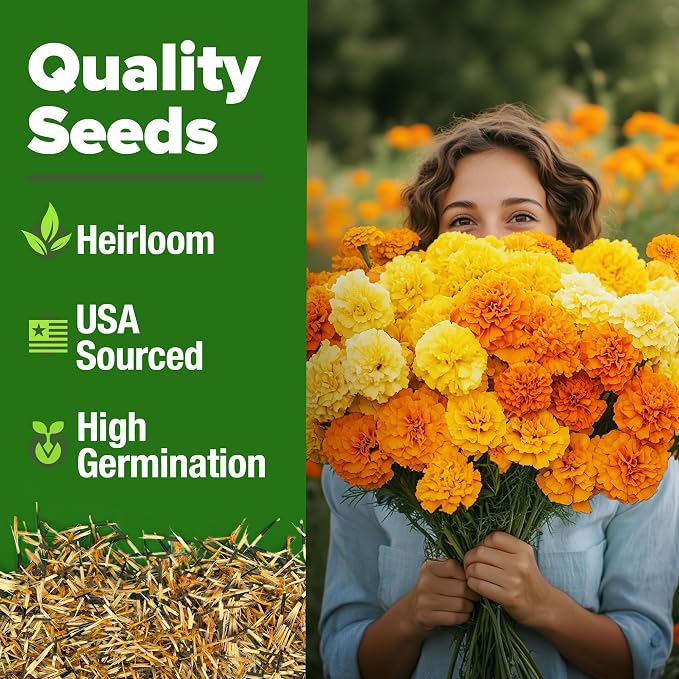 HOME GROWN Marigold Seeds Bulk Mix - Image 2