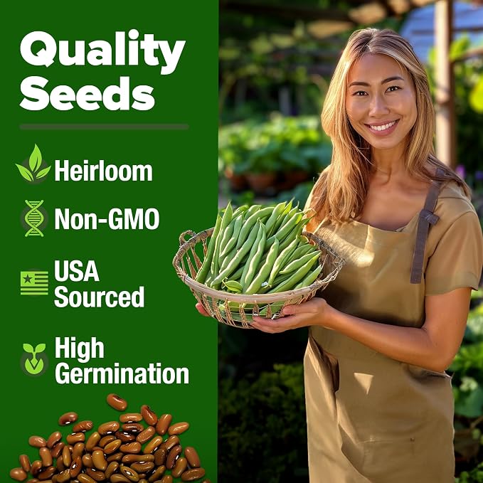 HOME GROWN Contender Bush Bean Seeds 28+ Heirloom Non-GMO, High Germination - Image 3