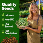 HOME GROWN Contender Bush Bean Seeds 28+ Heirloom Non-GMO, High Germination - Image 3