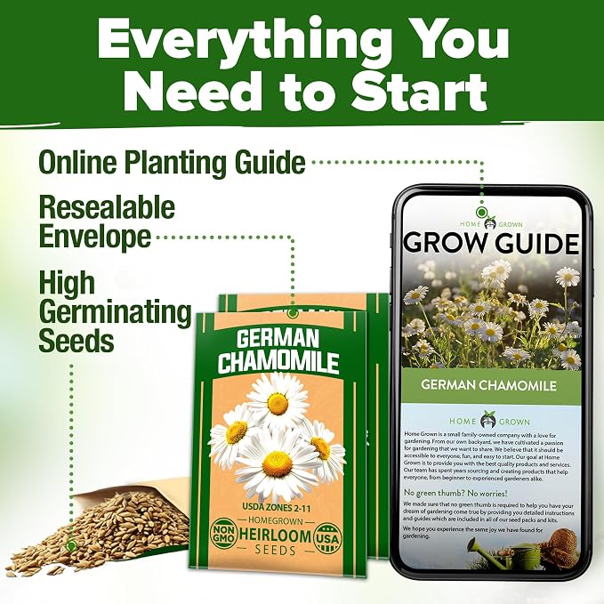 HOME GROWN German Chamomile Seed Pack – 4, 560 Heirloom Seeds - Image 8
