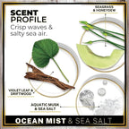 Urban Naturals Car Air Freshener Diffuser 1 Pack - Image 4