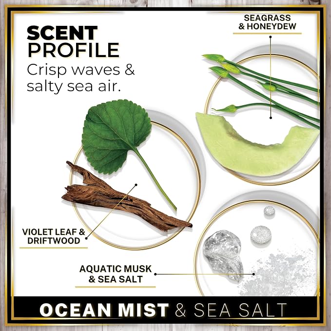 Urban Naturals Car Air Freshener Diffuser 1 Pack - Image 4