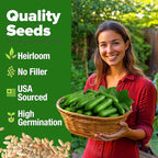 HOME GROWN Persian Cucumber Seeds 50+ Heirloom Non-GMO, Beit Alpha Variety - Image 2
