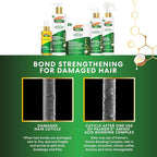 Palmer's Amino Bonding Complex Hair Mask, Intense Conditioning Masque Pack - Image 7