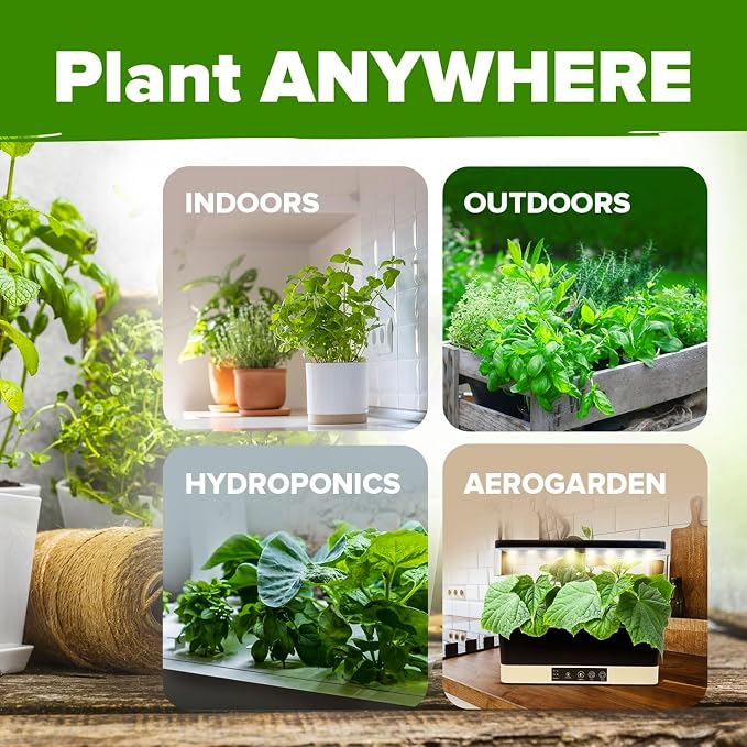 HOME GROWN 10 Herb Seeds for Planting 3, 000+ Non-GMO Heirloom Seeds | Extra - Image 5