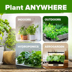 HOME GROWN 10 Herb Seeds for Planting 3, 000+ Non-GMO Heirloom Seeds | Extra - Image 5