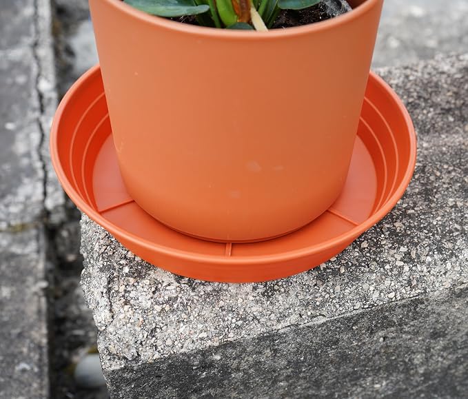 Plant Saucer 8 Inch 4 Pack 6 8 10 12 14 16 18 20 25, Plastic Plant Trays - Image 4