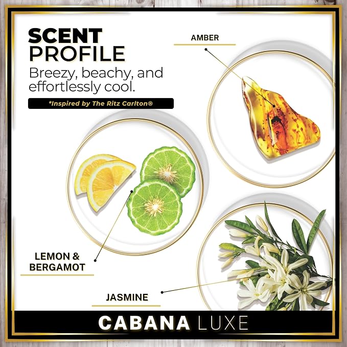 Urban Naturals Car Air Freshener Hanging + Vent Clip, Cabana Luxe Scent Diffuser - Image 4