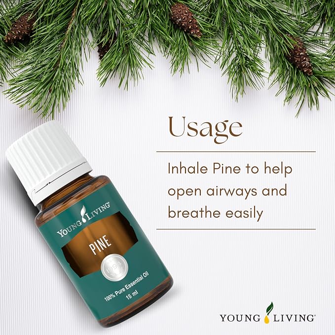 Young Living Pine Essential Oil | 15 ml | Fresh, Woodsy Aroma - Image 4