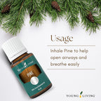 Young Living Pine Essential Oil | 15 ml | Fresh, Woodsy Aroma - Image 4