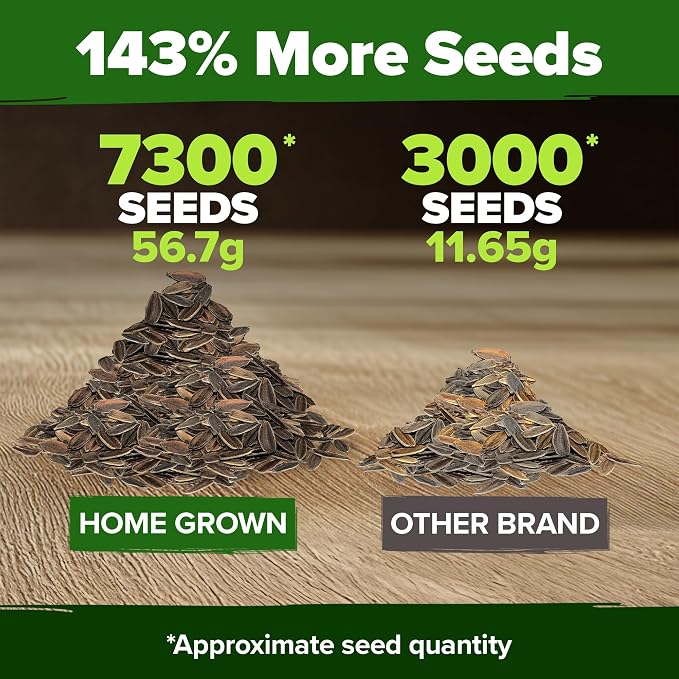 HOME GROWN Zinnia Seeds for 2026 - Image 5