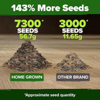 HOME GROWN Zinnia Seeds for 2026 - Image 5