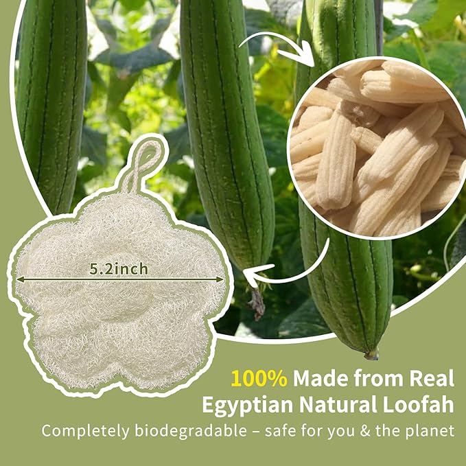 Travel Loofah Made from Real Egyptian Shower Loofah Spong Natural, Exfoliating - Image 6