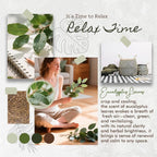 Room Spray, Eucalyptus Leaves, 4 fl oz, Air Freshener - Image 2