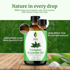 SVA Camphor Essential Oil – 4 Fl Oz – 100% Natural Camphor Oil - Image 7