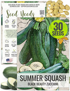 Seed Needs Zucchini Seeds for Planting Black Beauty Summer Squash by SeedNeeds