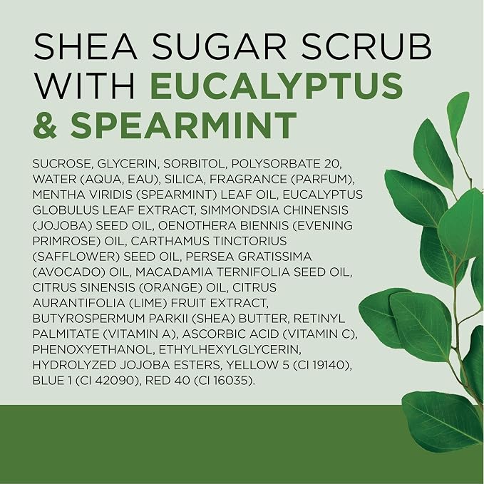 Dr Teal's Shea Sugar Scrub, Eucalyptus & Spearmint Essential Oils, 19 oz - Image 7