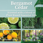 Hemlock Park Bergamot Cedar Apothecary Hand-Poured Scented Candle | Crackling - Image 2