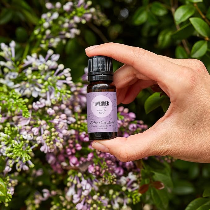 Edens Garden Lavender Around The World Essential Oil- 100% Pure Premium Grade - Image 2