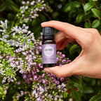 Edens Garden Lavender Around The World Essential Oil- 100% Pure Premium Grade - Image 2