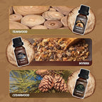 SALUBRITO Woody Fragrance Oils Set, Wood Essential Oil Set - Image 4