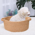 ABenkle Small Basket with Handles, Boho Decorative Rope Woven Dog Cat Toy - Image 3