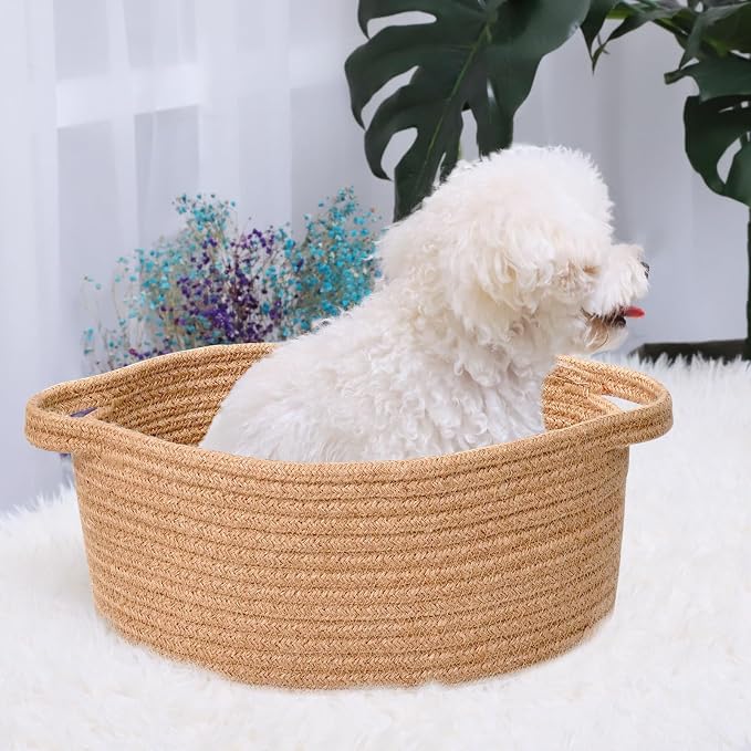 ABenkle Small Basket with Handles, Boho Decorative Rope Woven Dog Cat Toy - Image 3