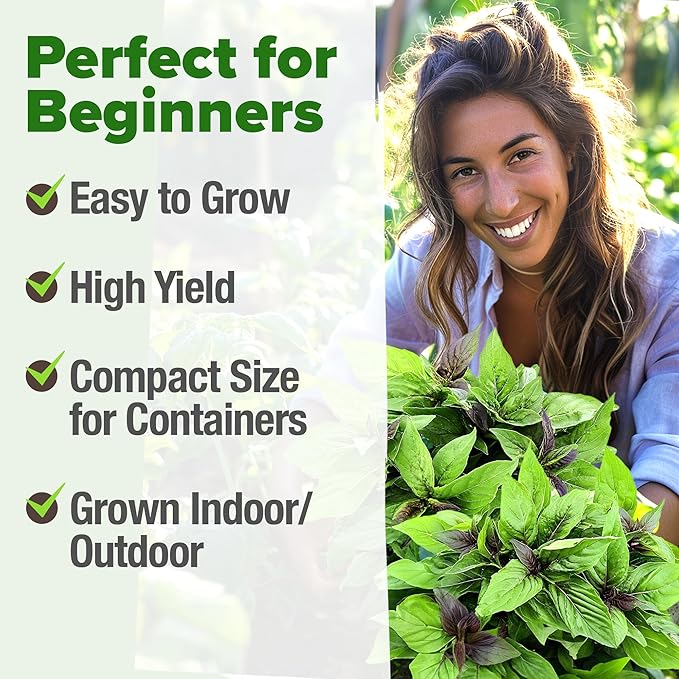 HOME GROWN Thai Basil Seeds Pack - Image 4