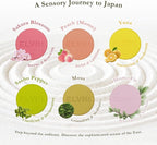 ELVN± Aromatherapy Shower Steamers - Image 2