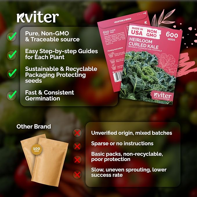 KVITER 600 Vates Blue Scotch Curly Kale Seeds – Curled Green Kale Seed Packets - Image 5