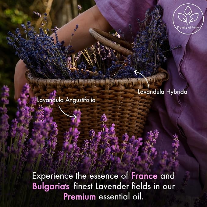 Majestic Pure Essential Oil - Image 6
