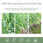 Lemongrass Essential Oil 1.01fl.oz/30ml, PHATOIL Lemongrass Oils Long Lasting - Image 7