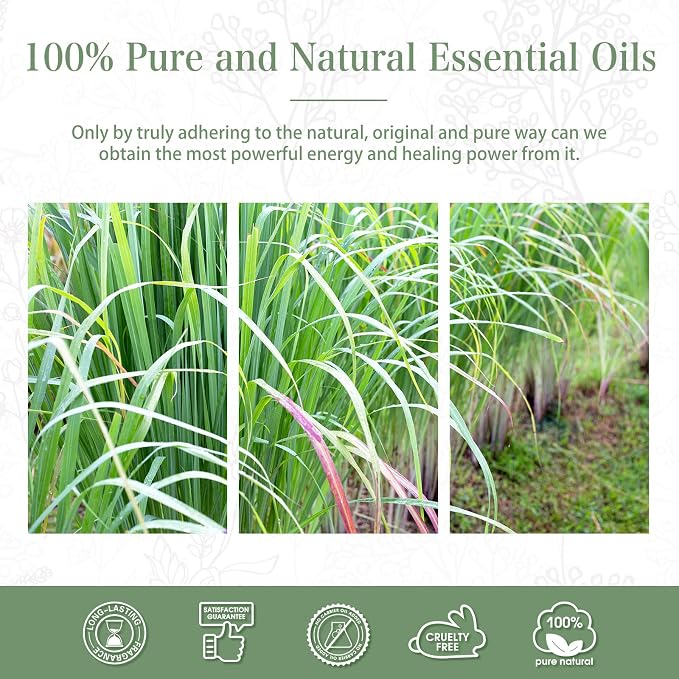 Lemongrass Essential Oil 1.01fl.oz/30ml, PHATOIL Lemongrass Oils Long Lasting - Image 7
