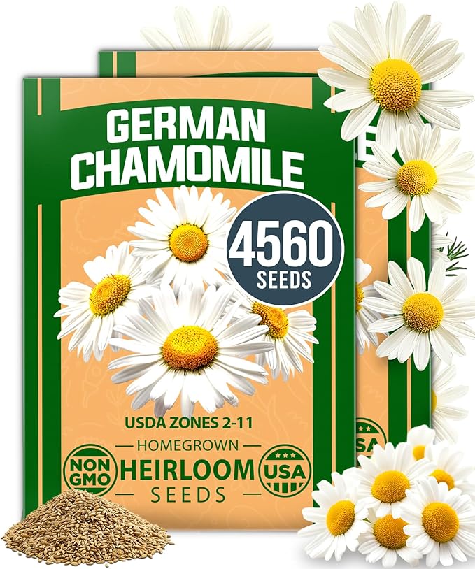 HOME GROWN German Chamomile Seed Pack – 4, 560 Heirloom Seeds by HOMEGROWN