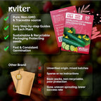 KVITER 50 Spacemaster 80 Cucumber Seeds - Image 5