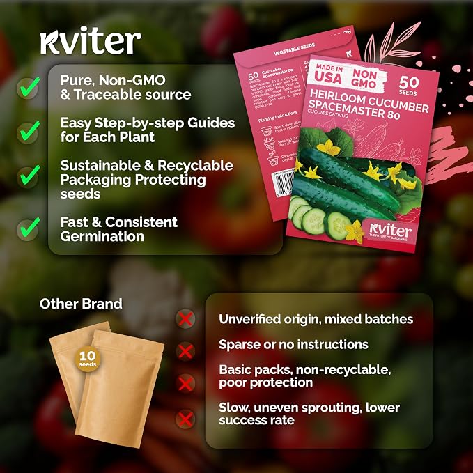 KVITER 50 Spacemaster 80 Cucumber Seeds - Image 5