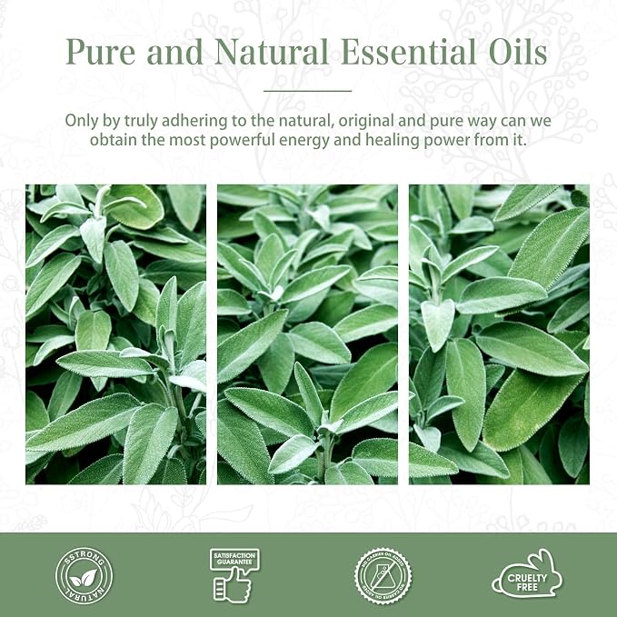 Clary Sage Essential Oil, 1.01Fl.Oz PHATOIL Pure Essential Oil Singles - Image 6