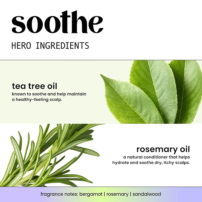HASK TEA TREE Revitalizing Deep Conditioner Treatments - Image 5