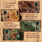 ARVIDSSON Woody Essential Oils Set, Wood Fragrance Oils Gift Set, 12 x 10ml - Image 3